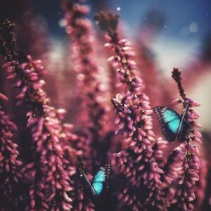 Rituel Chance, Abondance, Amour, résoudre 1 problème ou autres vœux